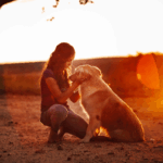 Comment savoir si la communication animale fonctionne?