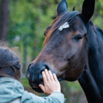 Phi Therapy® et communication animale : synergie pour le bien-être animal